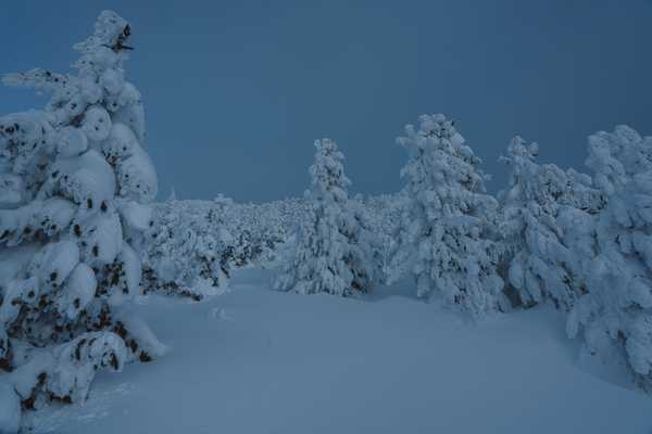 Adventtage im Gasteigerhof