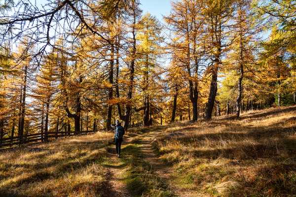 Herbst im Stubaital 4=3